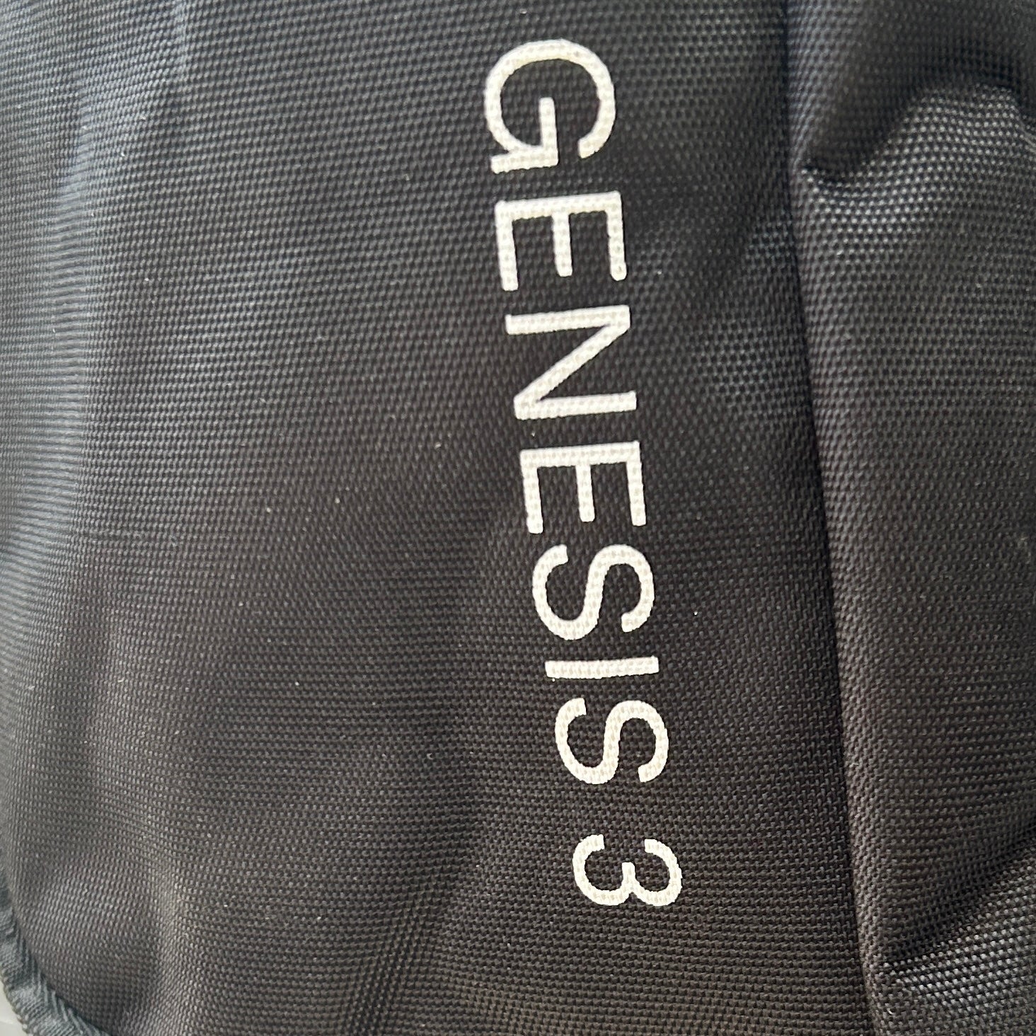 Genesis 3 2-stick bag
